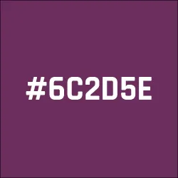 #6C2D5E