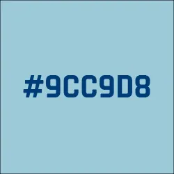 #9CC9D8