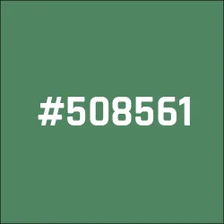 #508561